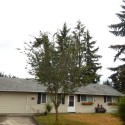 3 bed/1bath Home in Puyallup!