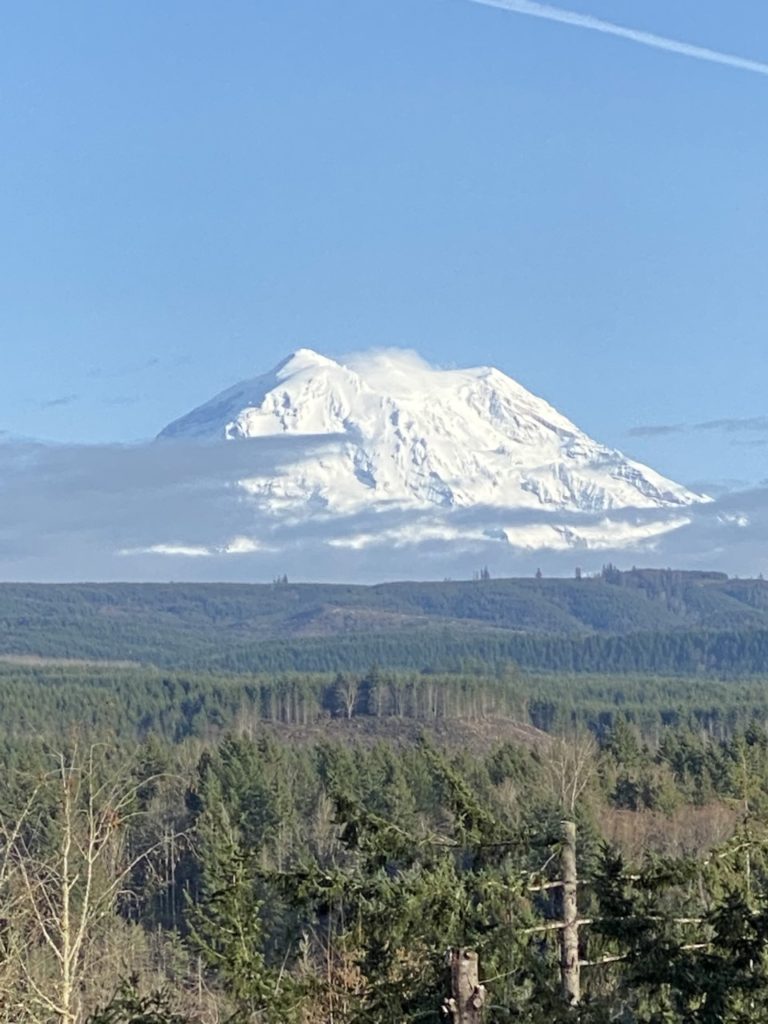 3 Beds 2.5 bath homes in Orting